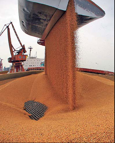 China's soybean imports increased 16.2 percent year-on-year to 30.76 million tons in the first seven months, according to recent statistics, threatening domestic soybean production. [China Daily]