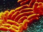 India objects to naming of superbug