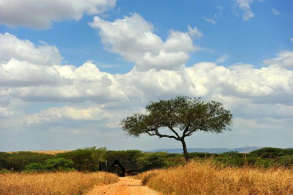 Photo taken on Aug. 12, 2010 shows a hotel in Masai Mara National Park in Kenya. [Xinhua/Liu Chan]