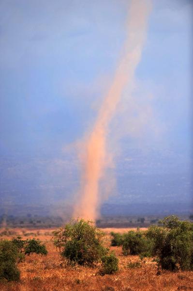 Photo taken on Aug. 2, 2010 shows a small tornado in the Amboseli National Park in Kenya. [Xinhua/Liu Chan]