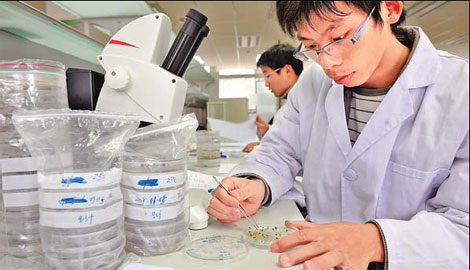 Scientists nurse different plantlife in the laboratory in the germplasm and seed bank in Kunming, Yunnan province, which is the largest of its kind in Asia, with a capacity of 170,000 samples.