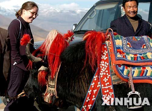 In this file photo, a foreign tourist enjoys the Tibetan yak. The Tibet Autonomous Region earned 287.7 million yuan in tourism revenues during the first seven months of this 2010, representing a year-on-year growth of 29.3 percent.