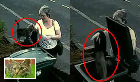 Woman throws cat into rubbish bin