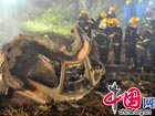 Air crash in NE China