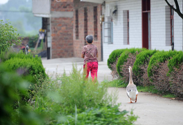 Hu Meiying&apos;s goose follows her out of the house in Pantian village in Luxi county, East China&apos;s Jiangxi province, Aug 26, 2010. [Xinhua]