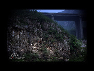 A goat herd on a hillside. [China.org.cn]