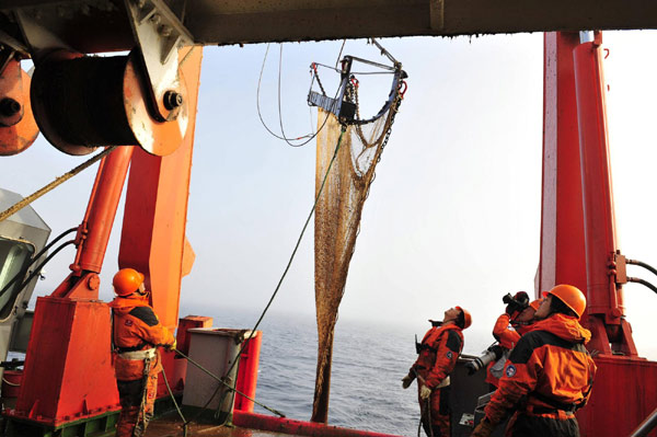 China's expedition members collect living materials with a drag net aboard icebreaker Xuelong near a spot at 74 degrees north latitude on the Arctic Ocean, Aug 29, 2010. 