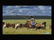A herdsman lassos wild horses in Chen Barag Qi on the Hulun Buir Grassland in Innner Mongolia Autonomous Region, northern China, on Aug. 27, 2010. [Xinhua/Li Xin] 