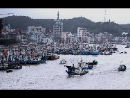 Fishing boats return to a port in Zhoushan, Zhejiang province, Aug 31, 2010. [Xinhua]