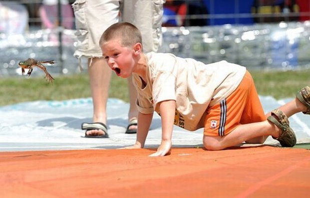 The traditional Frog Jump festival was held on August 15, 2010, in Valley City, Ohio. Since 1962, the city has held an annual contest patterned after Mark Twain&apos;s story, &apos;The Celebrated Jumping Frog of Calaveras County.&apos; [Xinhua]