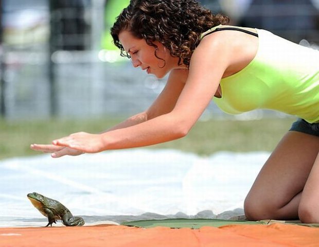 The traditional Frog Jump festival was held on August 15, 2010, in Valley City, Ohio. Since 1962, the city has held an annual contest patterned after Mark Twain&apos;s story, &apos;The Celebrated Jumping Frog of Calaveras County.&apos; [Xinhua]