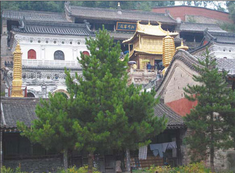 The glittering hall stands out in one of the temples of Mount Wutai. [Photo: China Daily] 