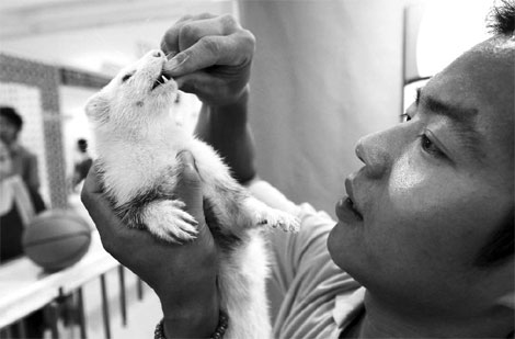 An exhibitor feeds a pet at the Pet Fair Asia in Shanghai on Thursday. The exhibition will close on Sunday.