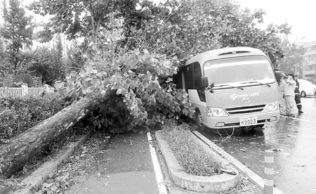 Rescue personnel and passersby check out a bus hit by a tree on a road in Incheon, in the Republic of Korea, on Thursday. 