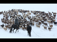 Heavy snow hit Hami, Xinjiang Uygur Autonomous Region in early September. [Xinhua]