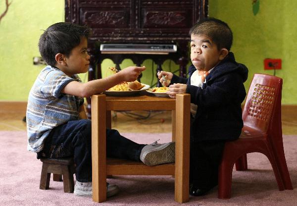 Edward Nino Hernandez (R) eats lunch with his eleven-year-old brother in their home in Bogota September 6, 2010. Edward, 24, who is 70.21 cm (2 ft 3.46 inches), has been recognised as the world&apos;s shortest man in the upcoming Guinness World Records 2011 book. [Xinhua]