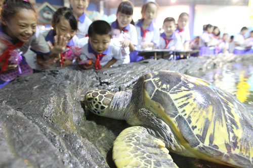 Pupils cheer for a green sea turtle at Beijing Aquarium, Sept 7, 2010. [Chinadaily.com.cn] 