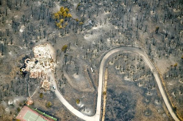 An aerial view shows a cluster of trees standing next to a home destroyed by the Fourmile Canyon fire in Boulder, Colorado September 8, 2010. 