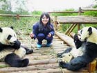 60 panda protectors selected in Chengdu