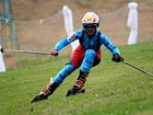 Grass skiing gains converts in Iran