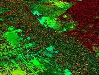 Where the carbon is - image shows an area of road building and development adjacent to primary forest in red tones, and secondary forest regrowth in green tones. [WWF]