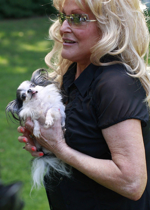 Guinness World Record&apos;s Smallest Living Dog, Boo Boo, is carried by its owner Lana Elswick during a photo call in New York Sept 15, 2010. [China Daily/Agencies]