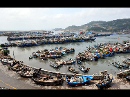 Fishing boats get shelter at the Huangqi Port in Lianjiang County, southeast China's Fujian Province, Sept. 19, 2010. [Xinhua]  