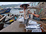 A woman transfers marine products at the Huangqi port in Lianjiang County, southeast China's Fujian Province, Sept. 19, 2010.  [Xinhua]
