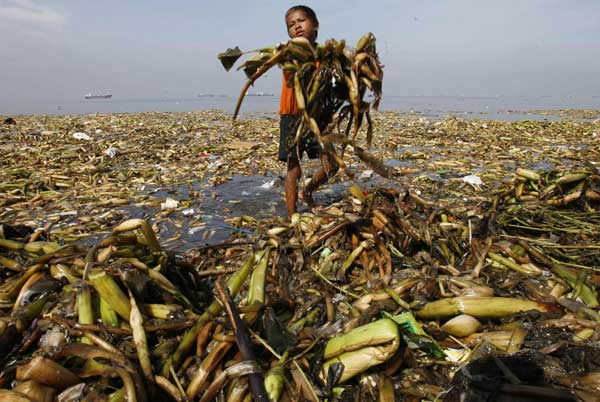 A volunteer carries waste material onto the shore during a coastal clean-up drive in Manila Bay, Sept 19, 2010. [China Daily/Agencies]