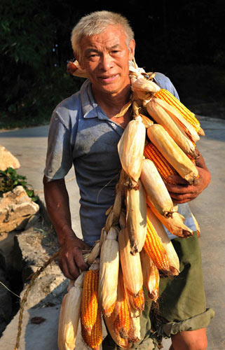 A villager carries corn for airing in Danzhai county, Southwest China&apos;s Guizhou province, Sept 18, 2010. [Xinhua]