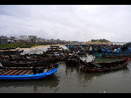 Boats are docked in a harbour on the coast of Gulei Town in southeast China's Fujian Province, Sept. 20, 2010. [Xinhua] 