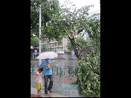 Typhoon Fanapi, the 11th and strongest typhoon to hit China this year, hit Gulei Township in Fujian's Zhangpu County, lashing the province's coastal areas with winds and torrential rains. [Xinhua]