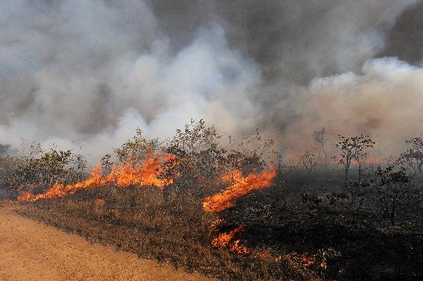 A forest fire burns in the Aguas Emendadas National Park Ecological Station, north of Brasilia, Brazil, Thursday Sept. 9, 2010. Dry weather, drought and heat has been causing fires across the country and put about 70 percent of the country at risk of fires. 