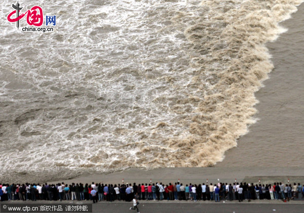 Visitors look at the surging tide of the Qiantang River in Haining, East China&apos;s Zhejiang province, Sept. 25, 2010. [CFP]