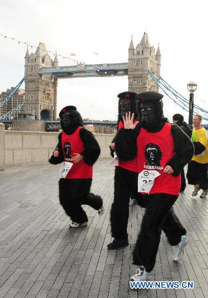 Participants of the Great Gorilla Run runs along the River Thames in London, Britain, Sept. 26, 2010. Hundreds of people, in gorilla costumes, took part in the annual 7km Great Gorilla Run along the River Thames on Sunday to raise money for The Gorilla Organisation, a charity aiming to save the threatened gorilla habitat in Africa. [Xinhua]