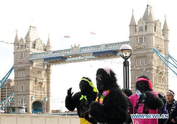 Participants of the Great Gorilla Run runs along the River Thames in London, Britain, Sept. 26, 2010. Hundreds of people, in gorilla costumes, took part in the annual 7km Great Gorilla Run along the River Thames on Sunday to raise money for The Gorilla Organisation, a charity aiming to save the threatened gorilla habitat in Africa. [Xinhua] 