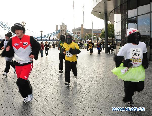 Participants of the Great Gorilla Run runs along the River Thames in London, Britain, Sept. 26, 2010. Hundreds of people, in gorilla costumes, took part in the annual 7km Great Gorilla Run along the River Thames on Sunday to raise money for The Gorilla Organisation, a charity aiming to save the threatened gorilla habitat in Africa. [Xinhua] 