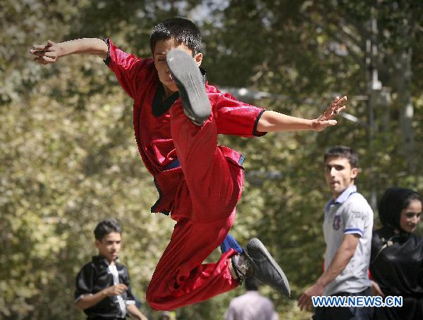An Iranian boy performs Chinese martial arts in a park in Tehran, capital of Iran, on Sept. 24, 2010.
