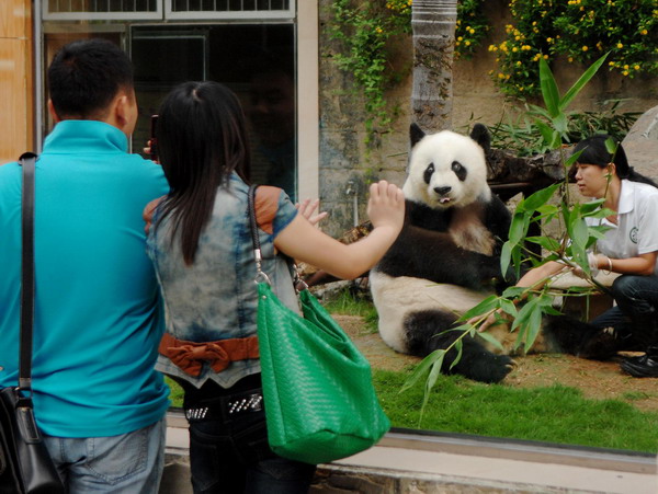 Tourists watch giant panda Basi at Fuzhou Panda World, a giant panda reserve in Fuzhou, East China&apos;s Fujian province, September 26, 2010.