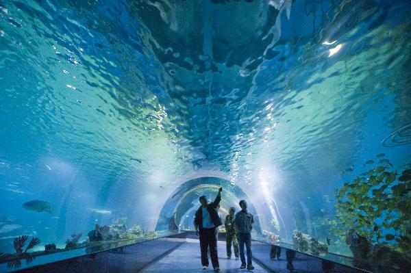 Photo taken on Sept. 28, 2010 shows workers inspect the fish in Haichang Polar Ocean Park in north China's Tianjin Municipality. The Polar Ocean Park in Tianjin will open to the public soon, visitors can see more than 30,000 kinds of marine creatures such as white whale, polar bear and penguin in the park. [Xinhua/Wang Guangrong]