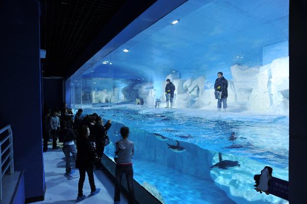 Photo taken on Sept. 28, 2010 shows workers feed the penguins in Haichang Polar Ocean Park in north China's Tianjin Municipality. (Xinhua/Wang Guangrong)