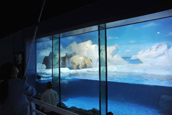 Photo taken on Sept. 28, 2010 shows workers feed the penguins in Haichang Polar Ocean Park in north China's Tianjin Municipality. [Xinhua/Wang Guangrong]