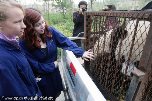 Foreign volunteers of Shaan&apos;xi Wild Animals Research Center say goodbye to the two pandas on their way to Weifang city, Shandong province on Sept 27,2010.