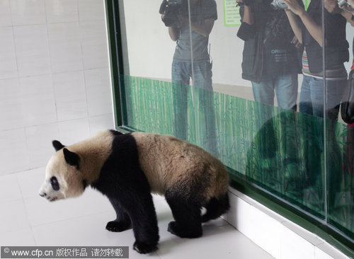 Qin Chuan’s new home in Weifang city, Shandong province on Sept 27,2010.