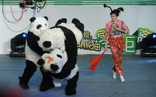 A 'pambassador' candidate from France performs during a tryout for 'Project Panda', which selects six panda ambassadors from five countries Wednesday to stay at the Chengdu Research Base of Giant Panda Breeding for one month. [Photo/Xinhua]