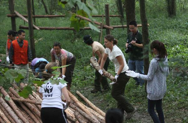 Panda enthusiasts take part in a training to set up shelves for pandas in Chengdu, capital of southwest China's Sichuan Province, Sept. 27, 2010. [Xinhua photo]