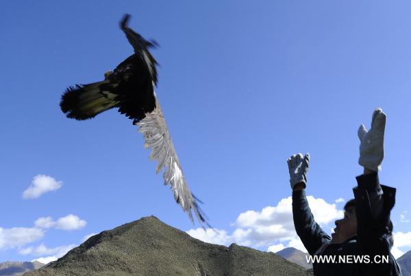 A worker releases a buzzard in Maizhokunggar County of Lhasa, southwest China&apos;s Tibet Autonomous Region, Sept. 29, 2010. One saker and three other wild birds, recovered from injury with the help of the locals, were on Wednesday released back to nature. 