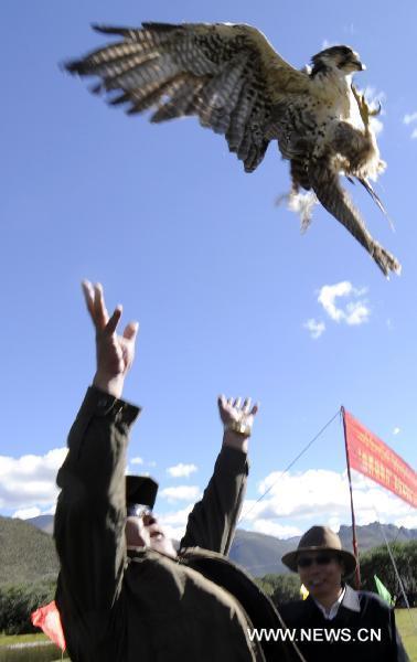 A worker releases a saker in Maizhokunggar County of Lhasa, southwest China&apos;s Tibet Autonomous Region, Sept. 29, 2010. One saker and three other wild birds, recovered from injury with the help of the locals, were on Wednesday released back to nature.