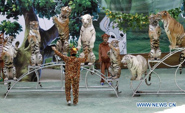 Zoo trainers perform for visitors with tigers in the Hongshan forest zoo in Nanjing, capital of east China&apos;s Jiangsu Province, Oct. 4, 2010. [Dong Jinlin/Xinhua]