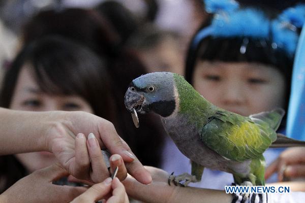 A parrot picks a coin up from a visitor&apos;s hand during a performance in the Hongshan forest zoo in Nanjing, capital of east China&apos;s Jiangsu Province, Oct. 4, 2010. [Dong Jinlin/Xinhua]